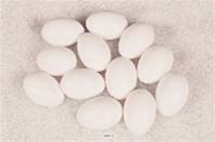 Œufs de poule blancs factices x12 H 65x45 mm plastique soufflé