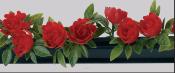 Barrettes entre plats separateurs fleurs roses rouges PVC socle noir factice x12 L 25 cm 