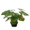 Philodendron factice dans un pot H 35 cm feuillage tergal de toute beaute