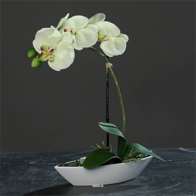 Orchidée artificielle tissu gaufré 1 hampe pot Résine Blanc ovale H 38 cm Blanc-vert