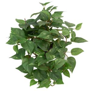 Epipremnum aureum panaché factice, feuillage tombant, en pot H 30 cm D 27 cm