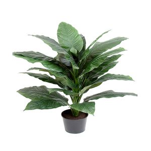 Plante verte Spathifyllum factice en pot H 105, D 80 cm