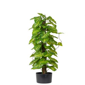 Plante verte sur pied, Hosta factice en pot, H 90 cm D 26 cm