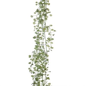 Guirlande de feuilles panachées de Ceropegia factices, L 150 cm