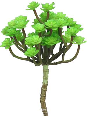 Echeveria sur tige, 24 mini têtes artificielles, H 22 cm, Vert