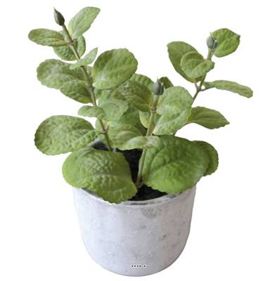 Herbe aromatique factice Menthe H 17 cm D 11cm pot Béton