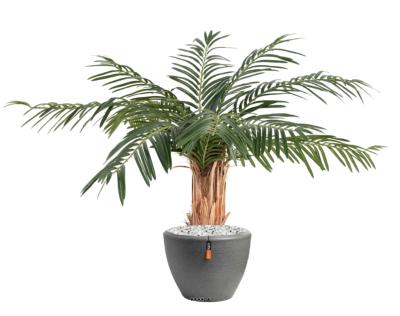 Palmier factice Cycas en pot tronc Haut H 80 cm Vert