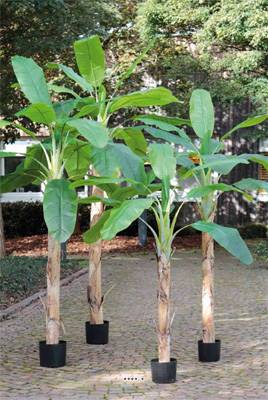 Bananier artificiel en pot H 300 cm