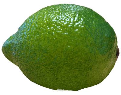 Citron vert limé factice L 8 cm D 5,5 cm touché réel