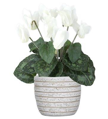 Cyclamen factice en pot H 20 cm D 15 cm qualite top Blanc neige