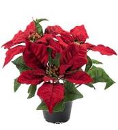 Poinsettia factice en Pot H 26 cm tres dense 5 fleurs Rouge