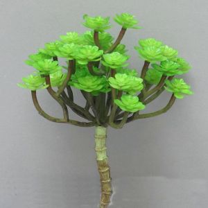 Echeveria Succulente mini factice à piquer H 22 cm D 12 cm