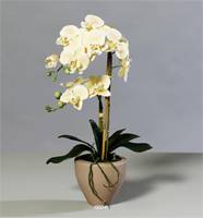 Orchidee artificielle 2 hampes pot Ceramique H 57 cm toucher reel Vanille
