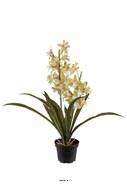 Orchidée Cymbidium factice en pot, H 45 cm, Crème vert