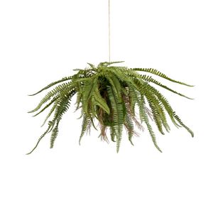 Plante verte fougère de Boston factice en suspension, L 60 cm D 90 cm