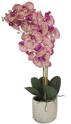 Orchidée Phalaenopsis factice dans un pot 2 hampes, H 60 cm et D 20 cm, pourpre-crème