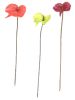 Anthurium factice H 67 cm Vert-jaune