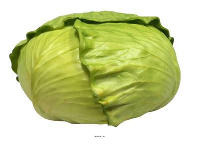 Chou artificiel pour décoration professionnelle