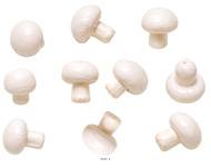Champignons décoratifs factices blanc rosé x10
