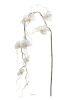 Orchidee artificielle retombante H 110 cm 9 fleurons originale Blanc neige