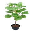 Plante verte Oreilles d elephant factices dans un pot H 50 cm feuillage latex magnifique