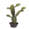 Cactus factice dans un pot H 45 cm vert magnifique cactee