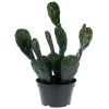 Cactus Opuntia Factice en pot cactée H 50 cm D 25 cm Qualité Pro
