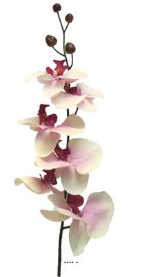 Orchidée phalaenopsis factice en tige, toucher réel, 6 fleurons, H 78 cm Pourpre-blanc
