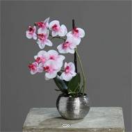 Orchidée phalaenopsis artificielle en pot céramique, H 30 cm Rose-crème