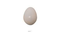 Oeufs blancs factices en Plastique soufflé H 65 mm D 45 mm