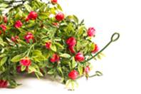 Guirlande fleurie boutons de Roses factice L 180 cm plastique soufflé