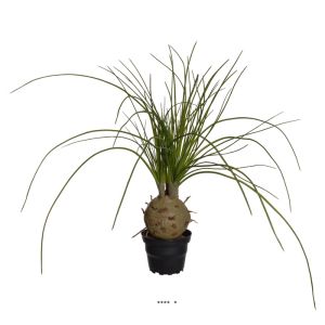 Palmier artificiel Beaucarnea en pot H 45 cm D 45 cm Super déco