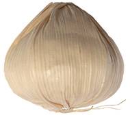 Tete d'ail creme factice D 5,5 cm et H 6,5 cm environ