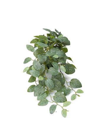 Fittonia factice en pot, feuillage retombant L 50 cm