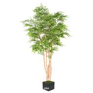 Acacia faux arbre semi naturel avec 5 Troncs Naturels en bois et feuillage tergal en pot