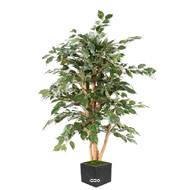 Ficus Banjamina eco semi naturel H150 cm factice en pot