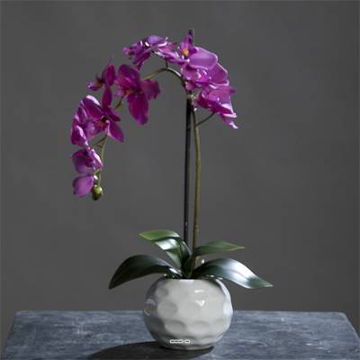 Orchidee artificielle Pourpre1 hampe en pot Ceramique Blanc H 46 cm
