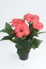 Hibiscus factice dans un pot H 38 cm 6 tetes Fleurs Rouge