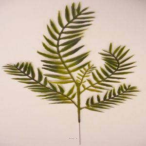 Feuille de poivrier H 44 cm Plastique pour exterieur D 20 cm Originale
