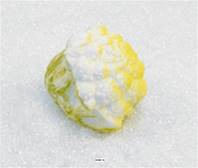 Chou-fleur factice L 120x130 mm plastique soufflé