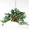 Tradescantia artificiel Panache H 40 cm en suspension superbe