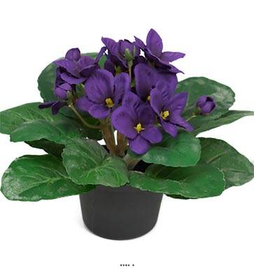 Saint Paulia factice en pot H 16 cm Tres fleuri Pourpre