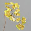 Branche de Ginkgo Biloba artificiel H 60 cm Doré