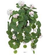 Geranium factice en pot, fleurs et feuillage retombants, L 50 cm, Rose-crème