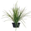 Herbe touffe plastique en pot H 40 cm D 45 cm dense et aérée