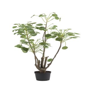 Plante verte Oreilles d'éléphant factice en pot H 120 cm, D 52 cm