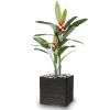 Heliconia factice H 180 cm 2 fleurs dans un pot