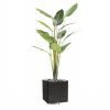 Palmier Arbre du voyageur factice H 220 cm dans un pot 14 feuilles