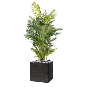Palmier Areca factice H 170 cm 9 troncs dans un pot
