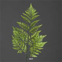 Feuille branche de fougere artificielle des forets H 78 cm superbe